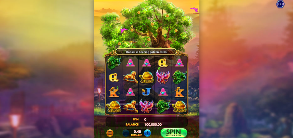 bonsai of riches live22 gameplay