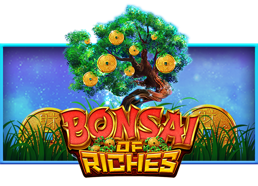 bonsai of riches live22 thumbnail